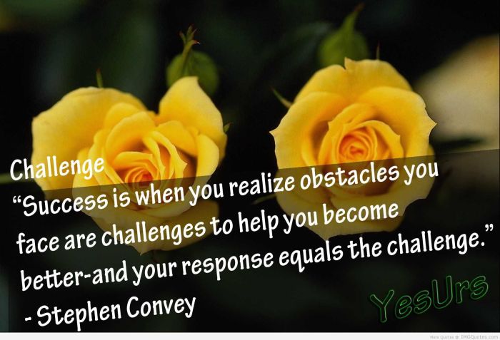 challenge-quote